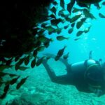 Scuba Dive Ningaloo Reef - Practical Tips for Making the Most of This Experience