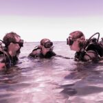 Scuba Dive The Beautiful Rottnest Island for Certified divers - A Detailed Look at the Rottnest Island Diving Tour