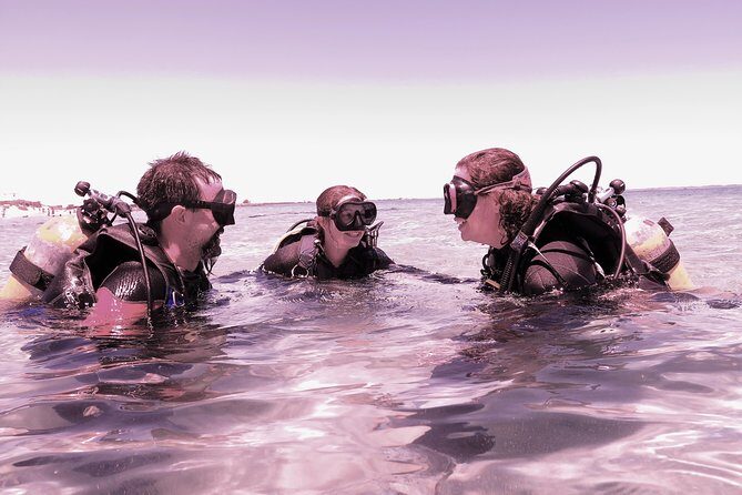 Scuba Dive The Beautiful Rottnest Island for Certified divers - A Detailed Look at the Rottnest Island Diving Tour