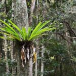 Sea Acres National Park: Aboriginal cultural tour - Practical Details That Matter