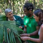 Sea Acres Rainforest Boardwalk Tour - What Matters Most: Practical Details