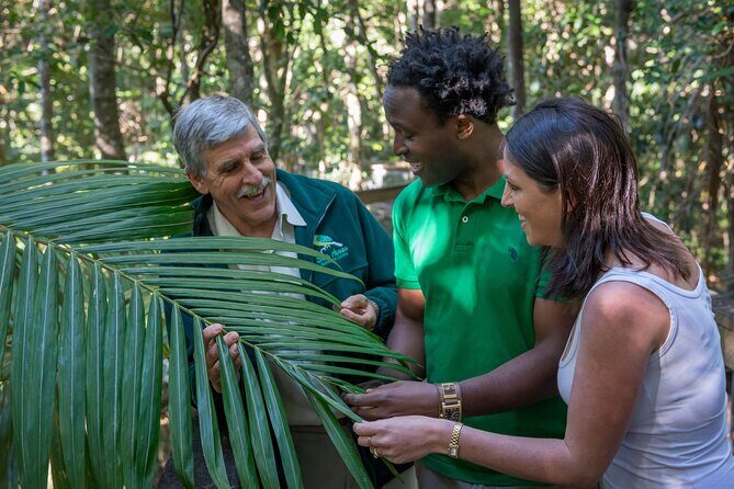 Sea Acres Rainforest Boardwalk Tour - What Matters Most: Practical Details