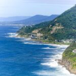 Sea Cliff Bridge Tours with Whale Watching and Wine Tasting - What Makes This Tour Stand Out?