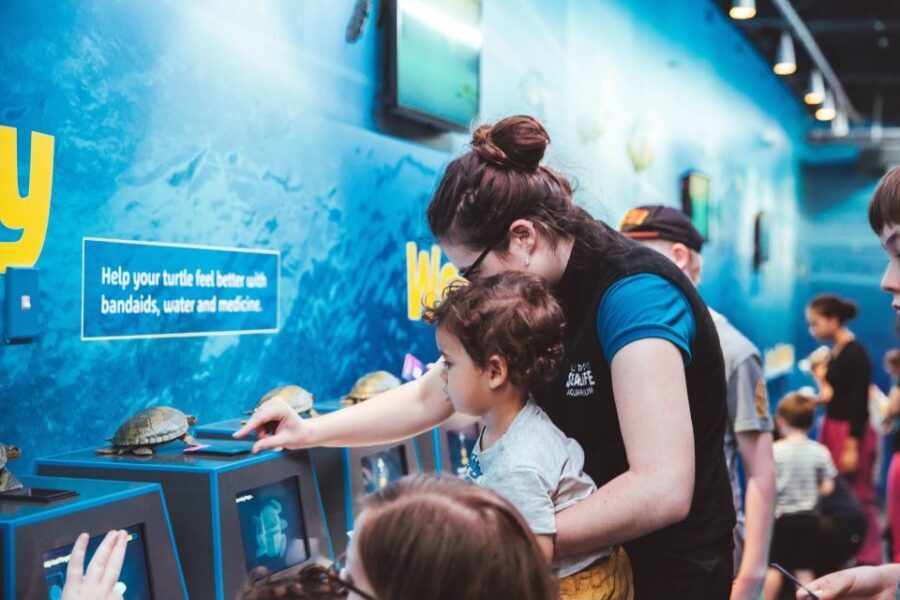 Sea Life Kelly Tarlton's Aquarium General Admission - Why This Experience Truly Delivers
