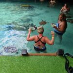 Sea Turtles (Aquarium): A hidden cave Into the Deep. - The Value of This Experience