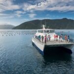 Seafood Odyssea Marlborough Sounds Cruise from Picton - Why This Cruise Works Well