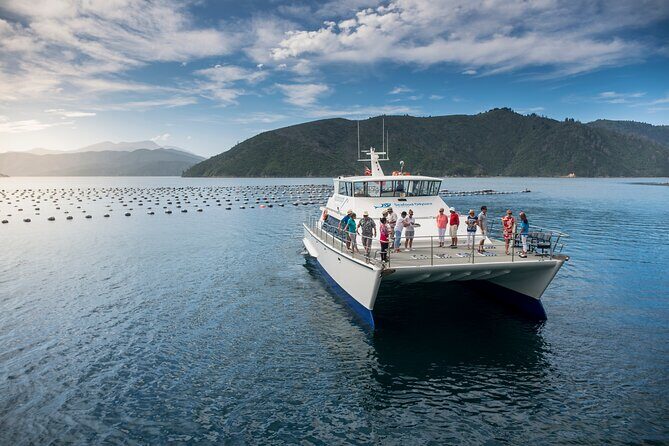 Seafood Odyssea Marlborough Sounds Cruise from Picton - Why This Cruise Works Well