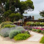 Seaford Rise: Langhorne Creek Crossing - Who Would Love This Tour?