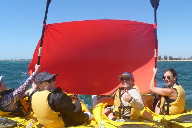 Seal Island and Penguin Island or Point Peron Sea Kayak Tour - The Value You’ll Get