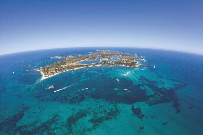 Sealink Bike & Ferry Package from Fremantle - Final Thoughts
