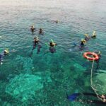 Seastar Luxury Outer Great Barrier Reef Island and Reef Tour - Itinerary Breakdown and What to Expect