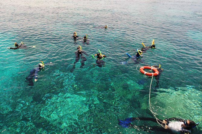 Seastar Luxury Outer Great Barrier Reef Island and Reef Tour - Itinerary Breakdown and What to Expect