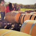 Secret Delights: Wine, Coffee, Artisan and Forest Tour - The Experience and Logistics
