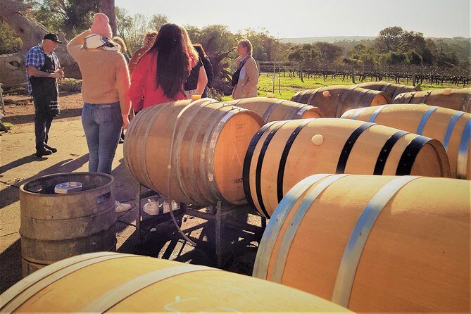 Secret Delights: Wine, Coffee, Artisan and Forest Tour - The Experience and Logistics