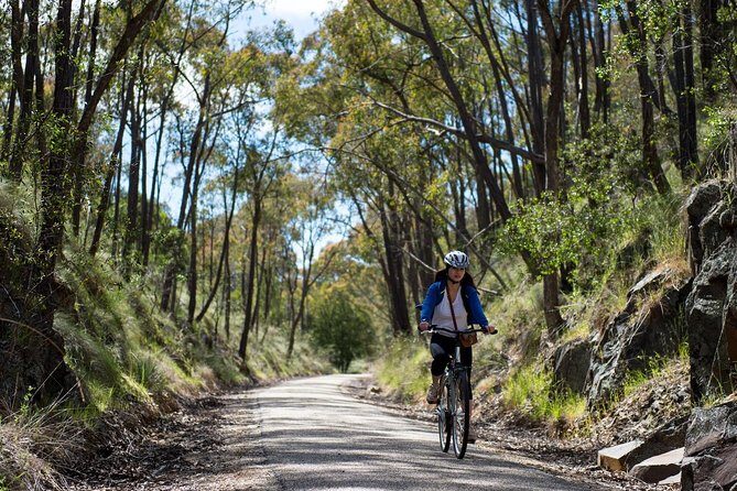 Self-Guided Gourmet Culinary Cycling Day Tour From Beechworth - Who Will Love This Tour?