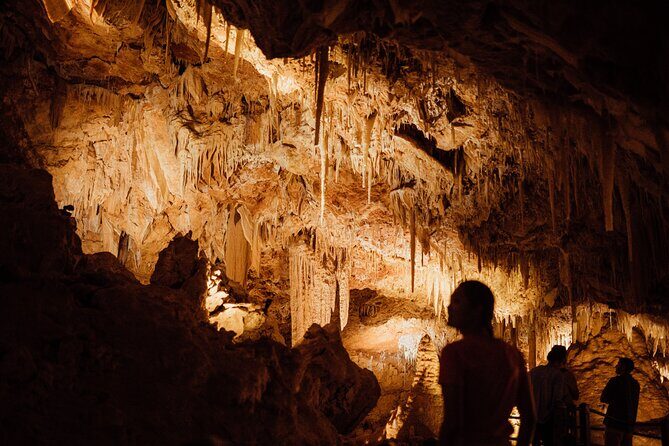 Self-Guided Ngilgi Cave Ancient Lands Experience - The Kid-Friendly and Family-Oriented Aspects