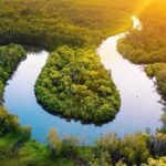 Self-Guided Noosa Everglades Kayak Tour - What to Expect on the Water