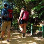 Self-Guided Queen Charlotte Track Walk from Picton - The Practicalities: What You Need to Know