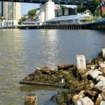 Self-Guided Walking Quest with Brisbane Colonial Mystery - Who Will Love This Tour?