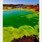 Semera: 8-Day Danakil Depression & Omo Valley Tribes Tour - Transportation, Group Size, and Overall Value