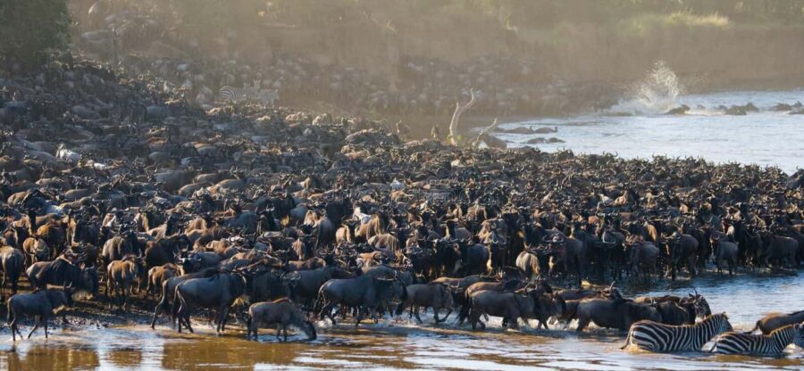 Serengeti: 5-Day Mara River Crossing Safari - The Itinerary Breakdown: What You Can Expect