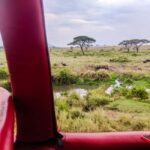 Serengeti Balloon Ride and Luxury Bush Breakfast - Frequently Asked Questions