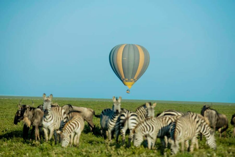 Serengeti: Balloon Safari and Bush Breakfast - FAQ