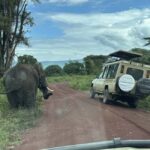 Serengeti: Fly-in Drive out 4-Day 3-Night Safari - FAQs