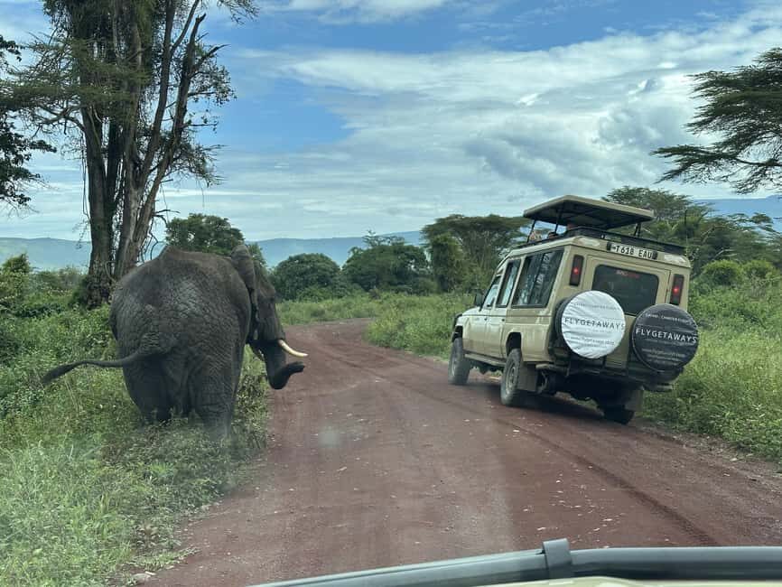 Serengeti: Fly-in Drive out 4-Day 3-Night Safari - FAQs