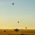 Serengeti National Park: Balloon Safari at Dawn - Authentic Insights from Reviewers