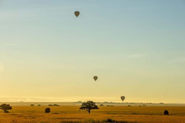 Serengeti National Park: Balloon Safari at Dawn - Authentic Insights from Reviewers