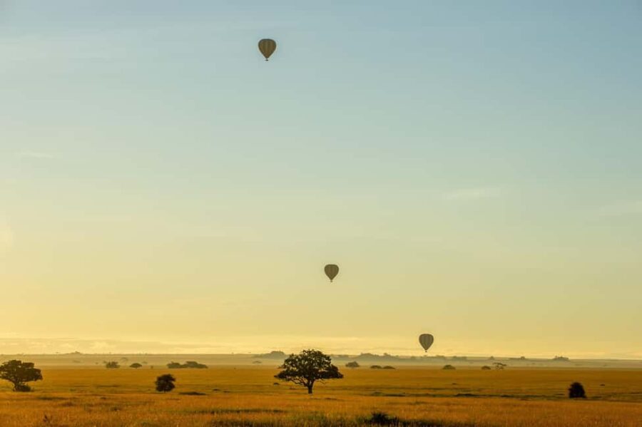 Serengeti National Park: Balloon Safari at Dawn - Authentic Insights from Reviewers