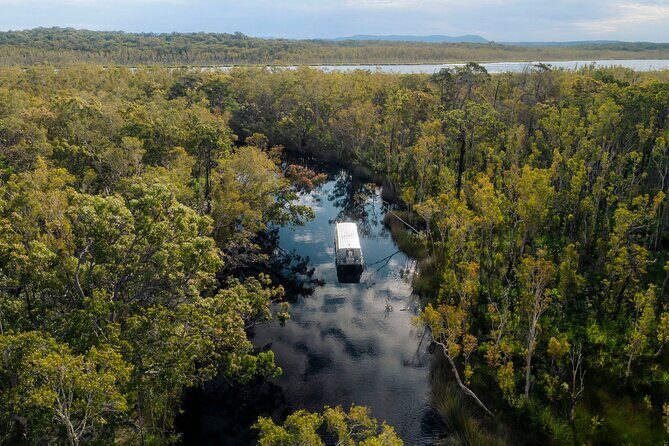 Serenity Cruise to Australia's Everglades - What Could Be Better?