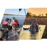 Shakawe: 3-Day Okavango Eastern Panhandle Safari - What to Expect on this 3-Day Safari