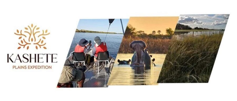 Shakawe: 3-Day Okavango Eastern Panhandle Safari - What to Expect on this 3-Day Safari