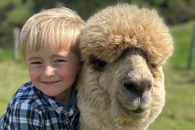 Shamarra Alpaca Farm Tours - What to Expect at Shamarra Alpaca Farm
