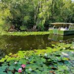Shared Shuttle Return Transfers (ex Port Douglas) Transfers Only - Exploring Hartleys Park: Shows, Feeding, and Wildlife