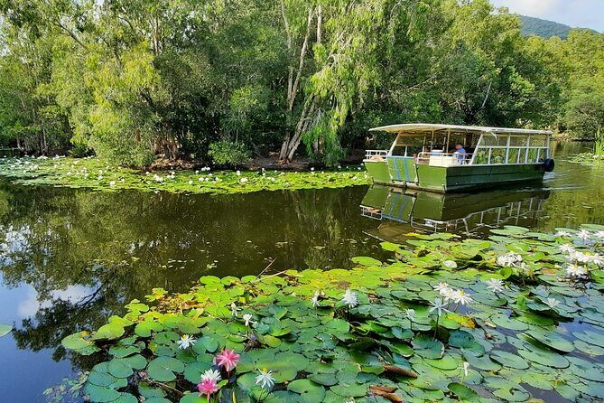 Shared Shuttle Return Transfers (ex Port Douglas) Transfers Only - Exploring Hartleys Park: Shows, Feeding, and Wildlife