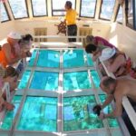 Sharm El-Sheik: Coral Reef Glass-Bottom Boat Tour - Value for Money and Practical Tips