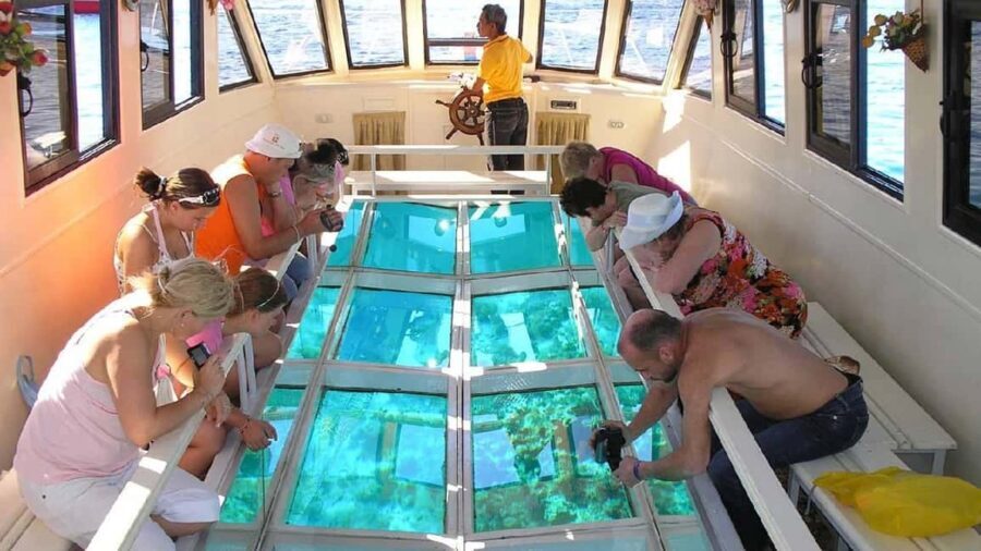 Sharm El-Sheik: Coral Reef Glass-Bottom Boat Tour - Value for Money and Practical Tips