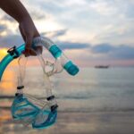 Sharm El Sheikh: Day sail to White island and Ras Mohamed - Meeting and Departure