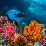 Sharm El-Sheikh: Guided Shore Scuba Diving at 2 Dives - What to Expect from the Tour