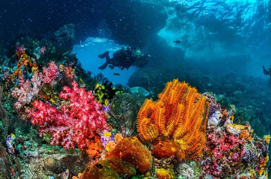 Sharm El-Sheikh: Guided Shore Scuba Diving at 2 Dives - What to Expect from the Tour
