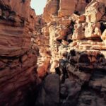 Sharm El Sheikh: Mount Sinai & St. Catherine's Monastery - The Experience: A Detailed Breakdown