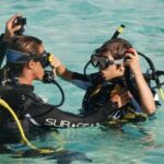 Sharm el Sheikh: PADI Diving Courses Package - Who Should Consider This Tour?