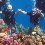Sharm El-Sheikh: Parasailing, Camel Ride, Dive & Quad Bike - The Value of This Tour