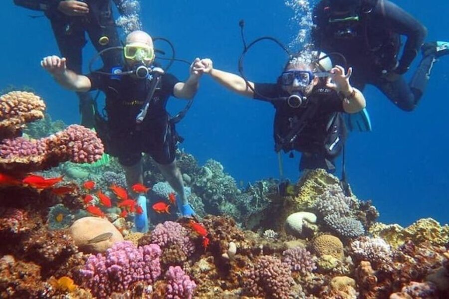 Sharm El-Sheikh: Parasailing, Camel Ride, Dive & Quad Bike - The Value of This Tour