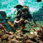 Sharm El Sheikh: Ras Mohamed & White Island Snorkel or Dive - The Real Value of This Tour