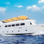 Sharm El-Sheikh: Ras Mohamed & White Island Snorkeling Trip - What We Think: The Value and Experience