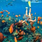 Sharm El Sheikh: Ras Mohammed Snorkeling Boat Tour - What to Know Before Booking